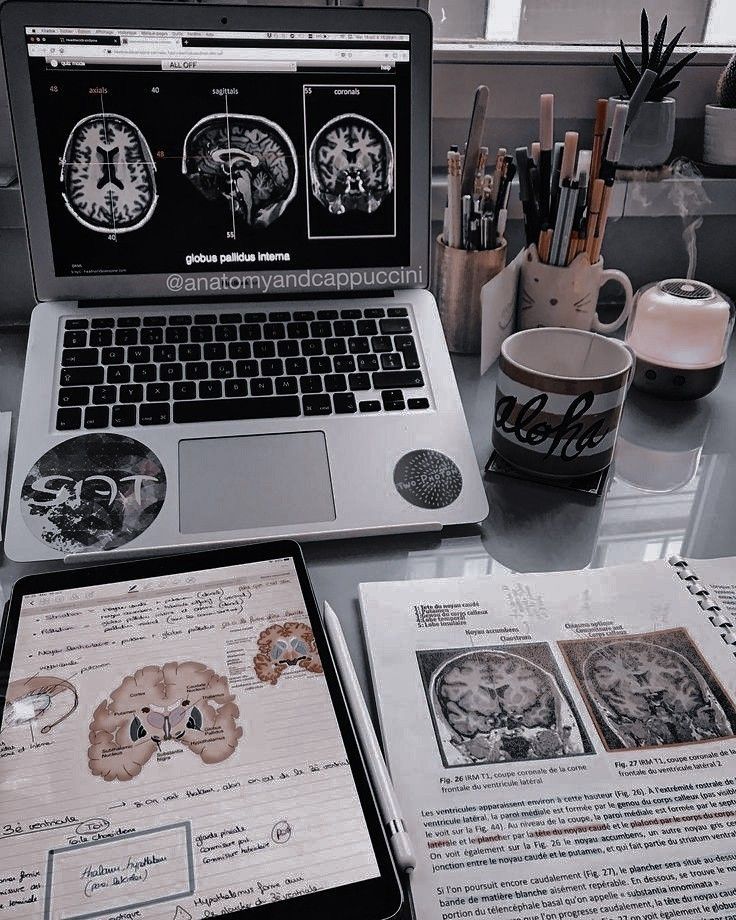 Love on the Brain | Ali Hazelwood